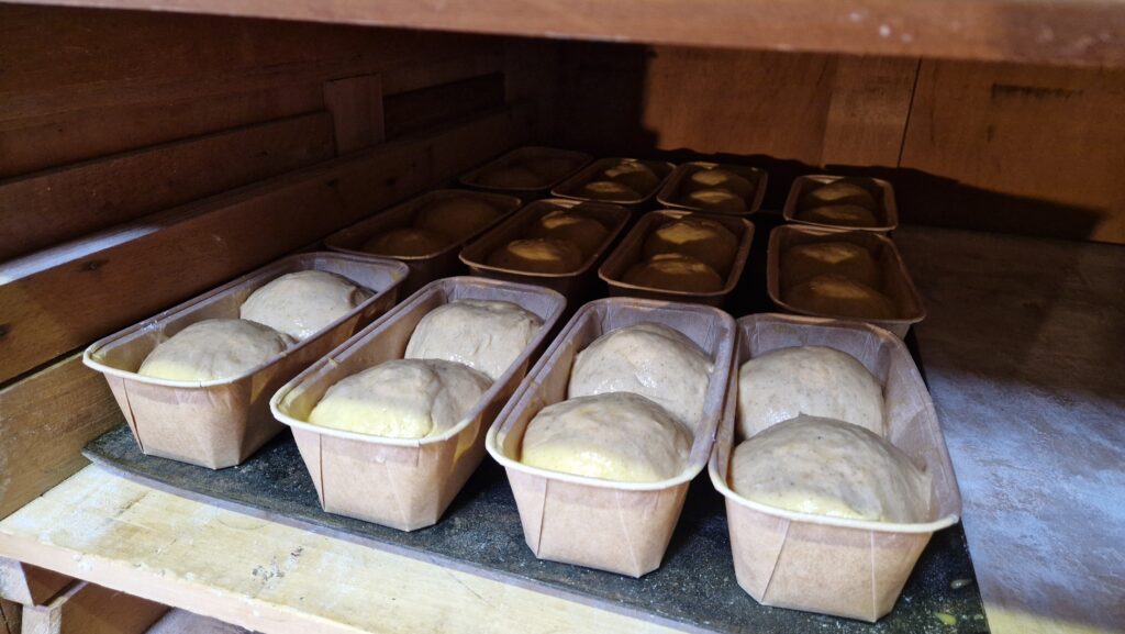 visite de la boulangerie artisanale à Guérande