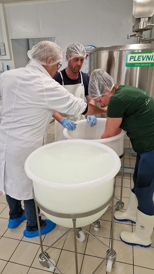 fromagerie à Guerande