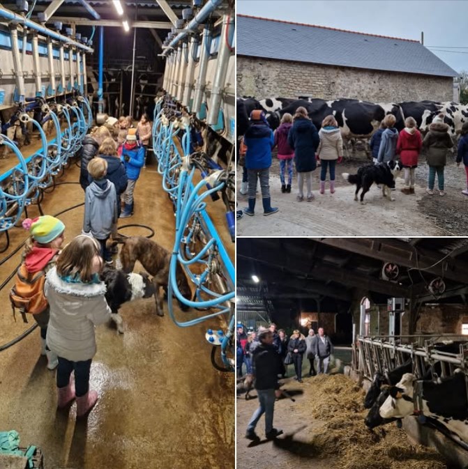 visite de la ferme à Guérande