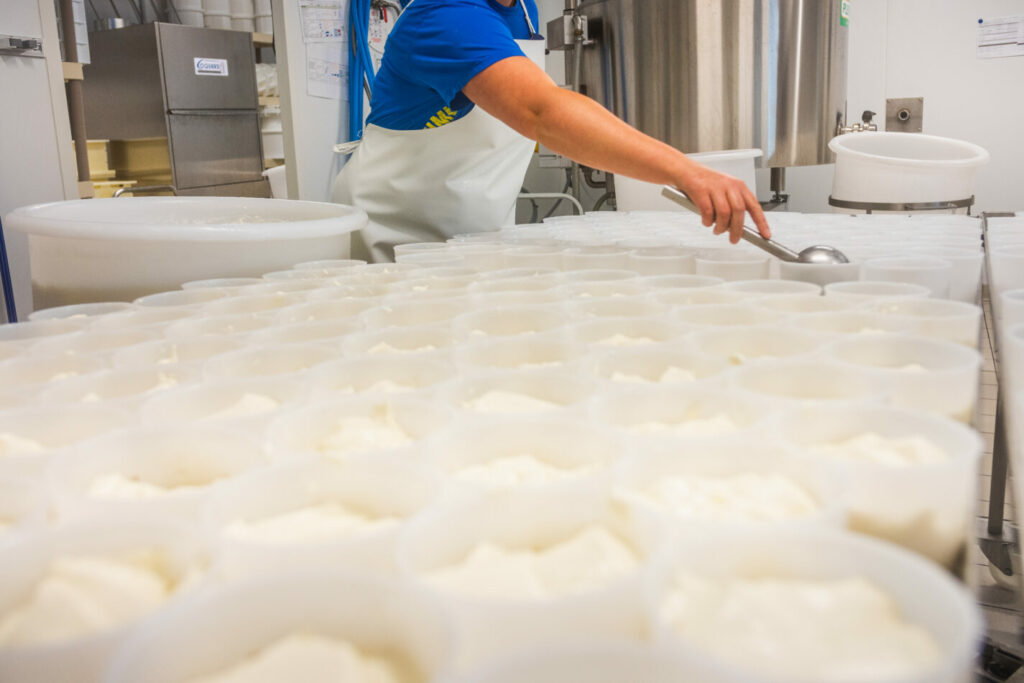 fromagerie guerande