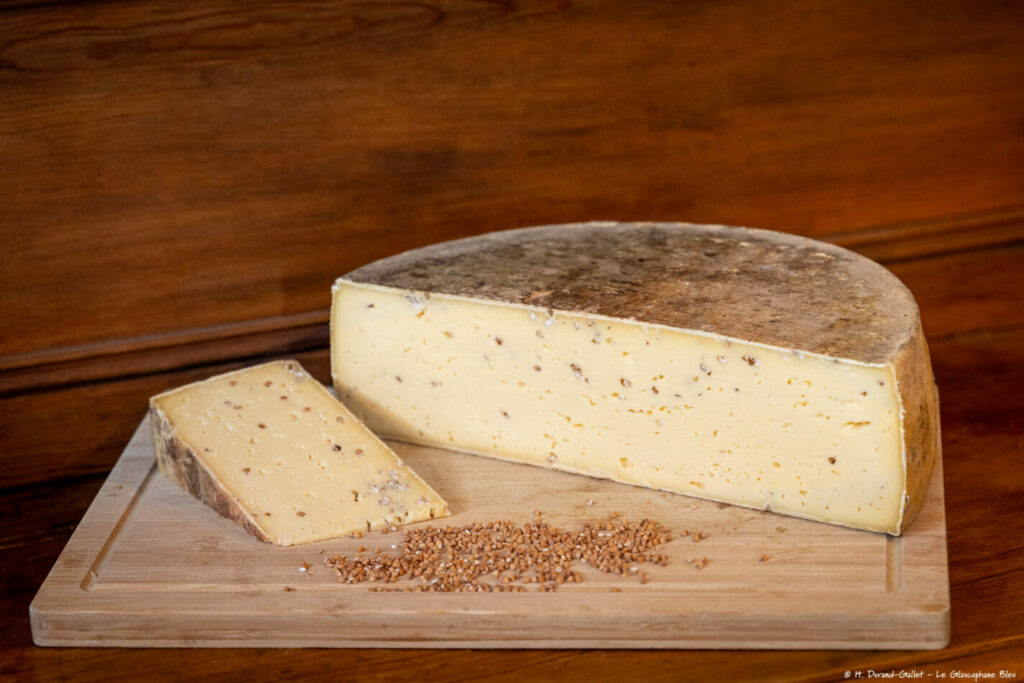 fromage "gaulois" qui est une tomme au sarrasin torréfié