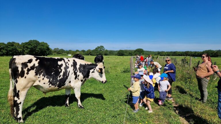 découverte des animaux de ferme par les enfants
