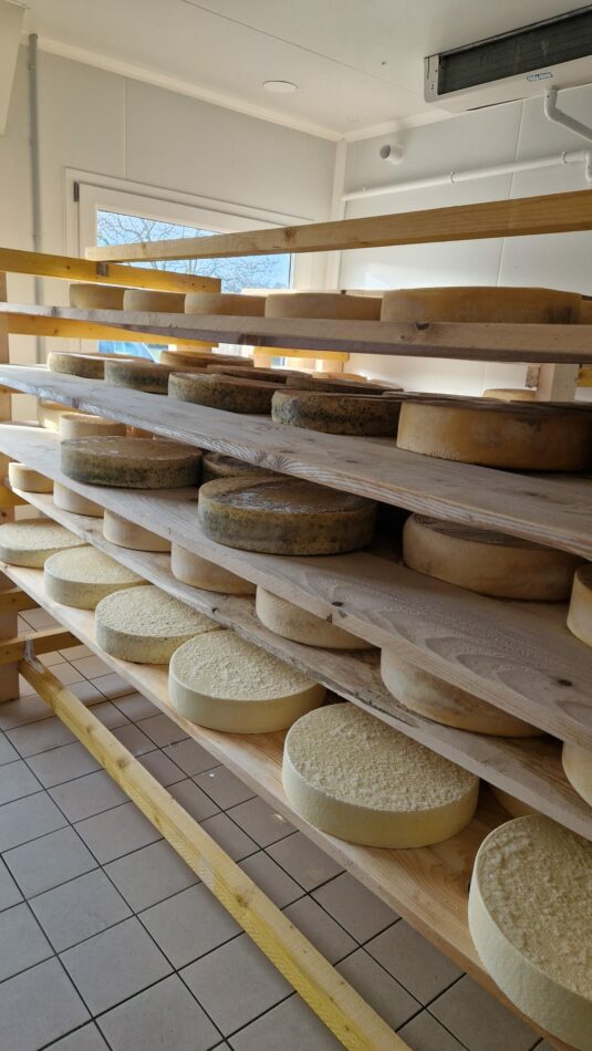 Cave d'affinage des fromages de la ferme